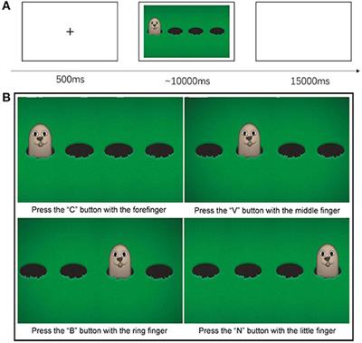 Altered Functional Connectivity in the Motor and Prefrontal Cortex for Children With Down's Syndrome: An fNIRS Study